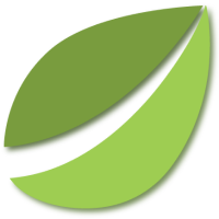 Bitfinex